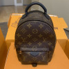 Рюкзак Louis Vuitton LV PALM SPRINGS MINI