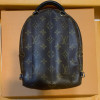 Рюкзак Louis Vuitton LV PALM SPRINGS MINI