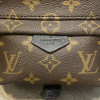 Рюкзак Louis Vuitton LV PALM SPRINGS MINI