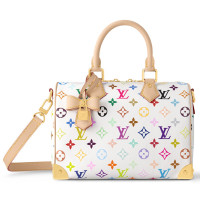 LOUIS VUITTON Сумка LV x TM SPEEDY 25 LOUIS VUITTON Сумка LV x TM SPEEDY 25