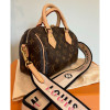 Сумка Louis Vuitton LV SPEEDY 20