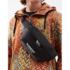 Поясная Сумка BURBERRY Sonny