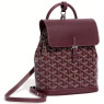 GOYARD Рюкзак Alpin Mini