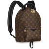 Рюкзак Louis Vuitton LV PALM SPRINGS BACKPACK PM Рюкзак Louis Vuitton LV PALM SPRINGS BACKPACK PM