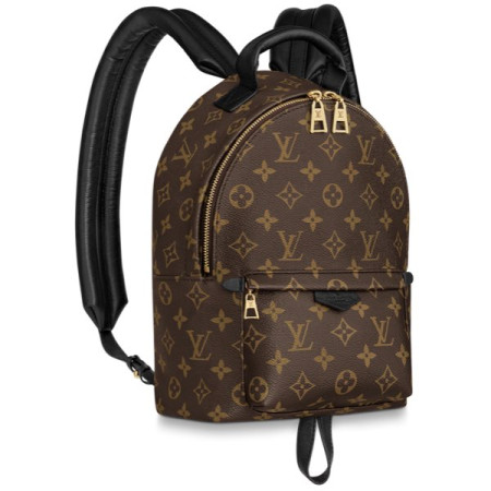 Рюкзак Louis Vuitton LV PALM SPRINGS BACKPACK PM Рюкзак Louis Vuitton LV PALM SPRINGS BACKPACK PM