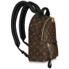 Рюкзак Louis Vuitton LV PALM SPRINGS BACKPACK PM Рюкзак Louis Vuitton LV PALM SPRINGS BACKPACK PM