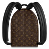 Рюкзак Louis Vuitton LV PALM SPRINGS BACKPACK PM