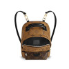 Рюкзак Louis Vuitton LV PALM SPRINGS BACKPACK MINI