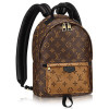 Рюкзак Louis Vuitton LV PALM SPRINGS BACKPACK PM