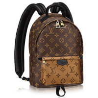 LOUIS VUITTON Рюкзак LV PALM SPRINGS BACKPACK PM