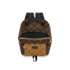 Рюкзак Louis Vuitton LV PALM SPRINGS BACKPACK PM