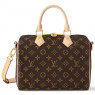 LOUIS VUITTON Сумка LV SPEEDY 25