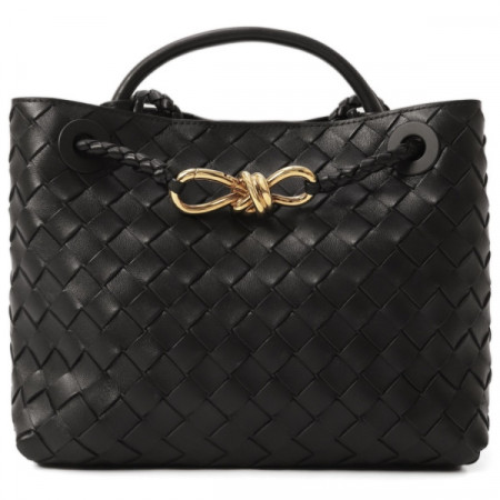 Сумка BOTTEGA VENETA Andiamo Small