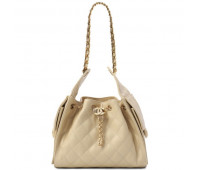 CHANEL Сумка 25 Small