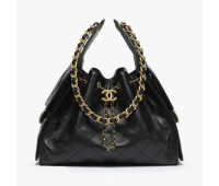  CHANEL Сумка 25 small
