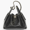 Сумка Chanel 25 small