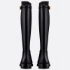 Кожаные сапоги Empreinte DIOR