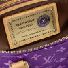 Сумка Louis Vuitton LV Speedy P9 Bandoulière 25